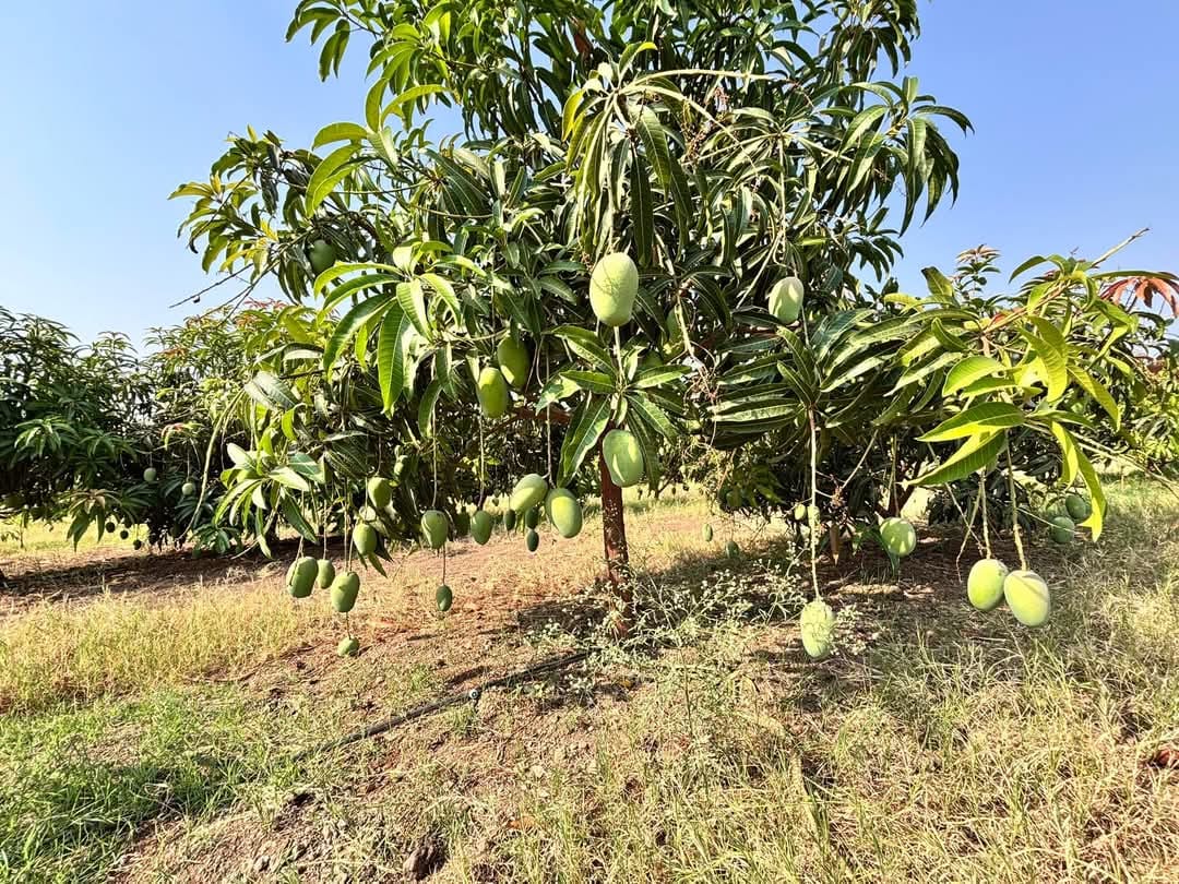 Bhuvanagiri