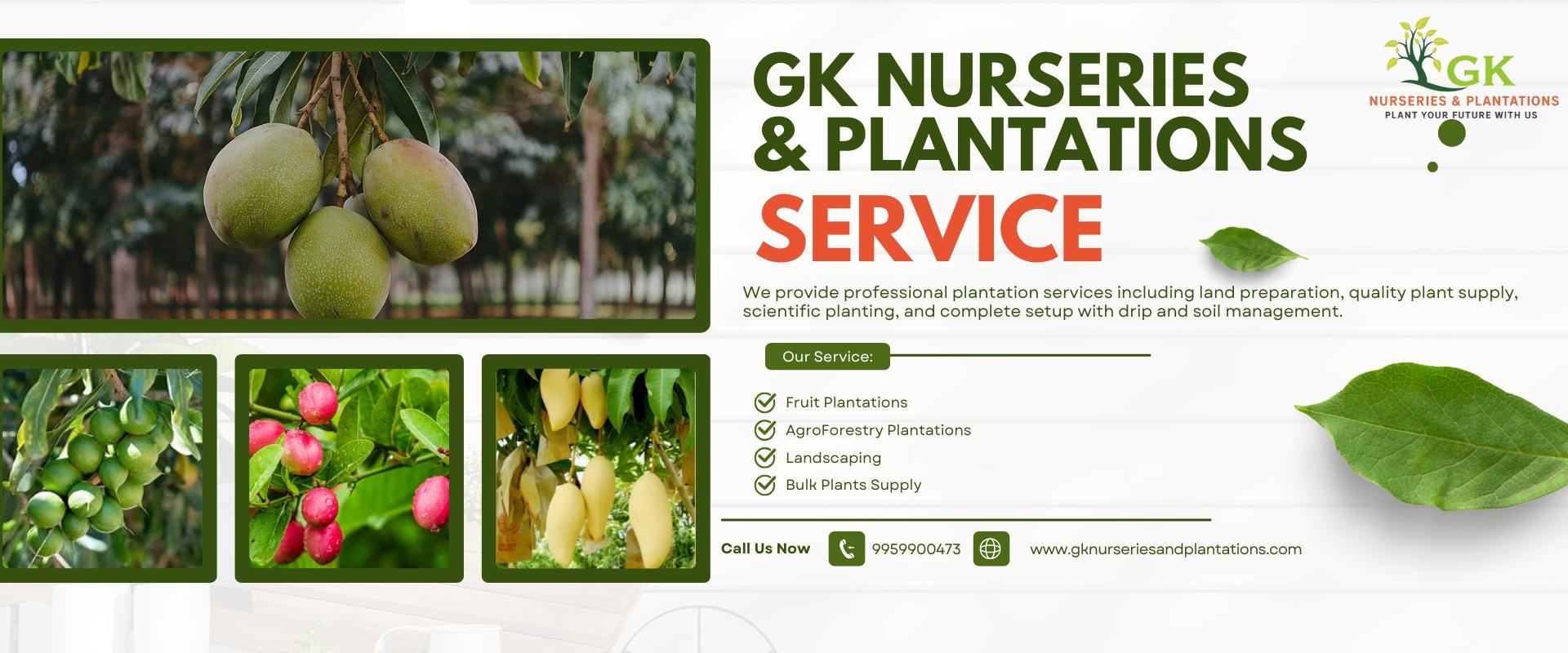 Gk nurseries & Plantations (1)