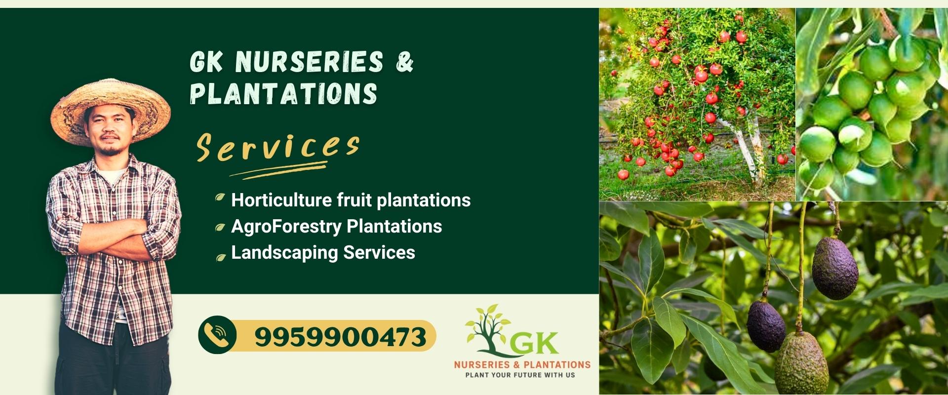 Gk nurseries & Plantations